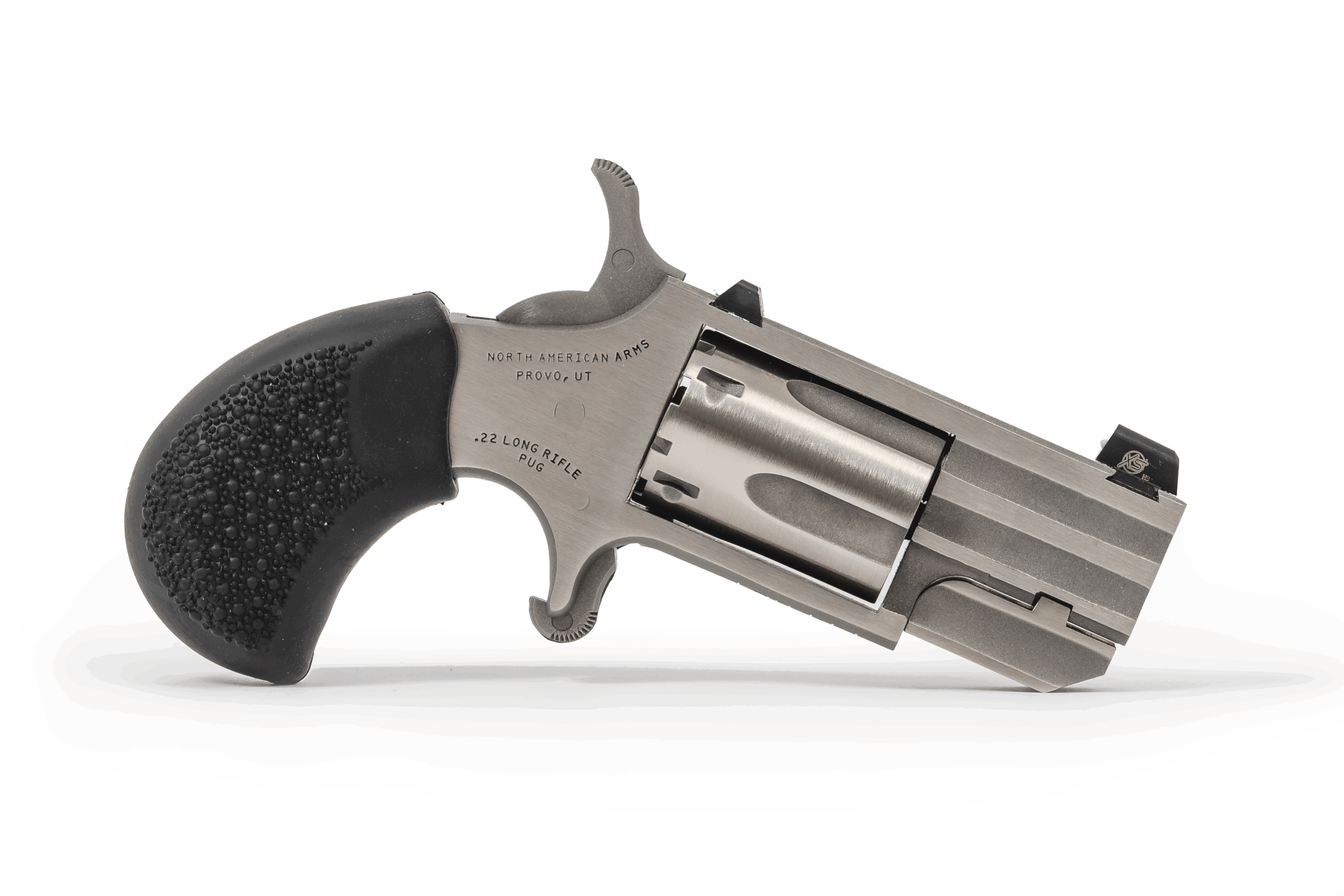 naa 22lr pug