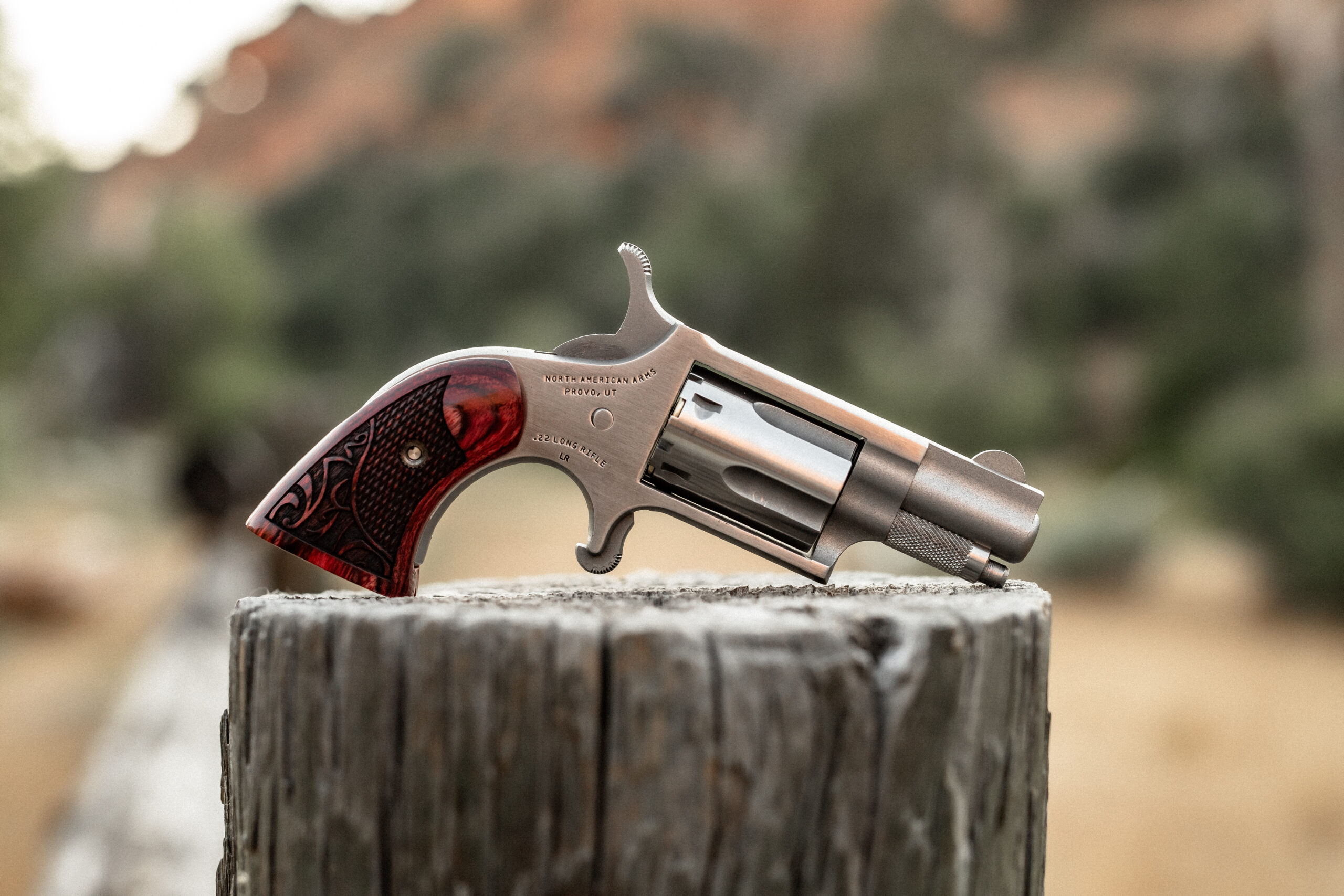 Compact Firearms - NAA Black Widow - Mini-Revolvers