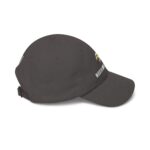 north american arms eagle logo dad cap