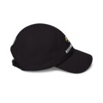 north american arms eagle logo dad cap