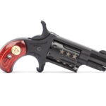 naa 22lr bbo250