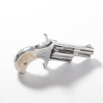 naa 22lr good