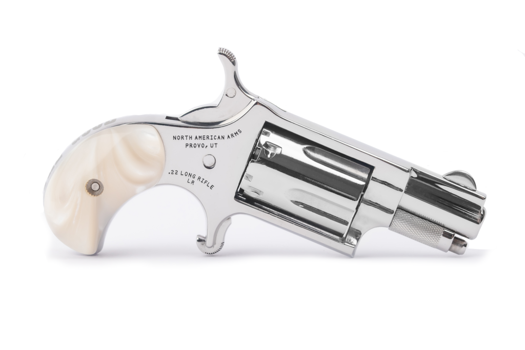 naa 22lr (copy)