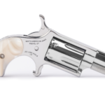 naa 22lr (copy)